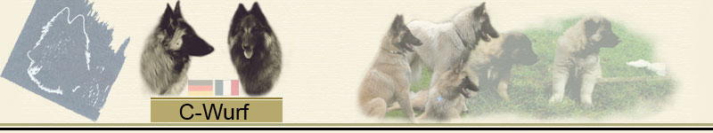 C_Wurf_Banner